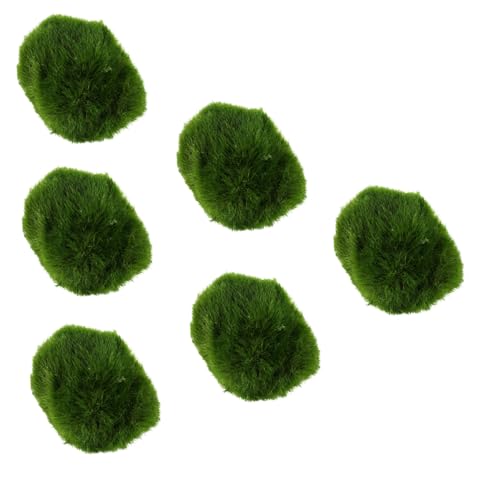 Biotope Aquatics Ltd - 6 x Marimo Moss Balls, Live Aquarium Plant, Cladophora aegagropila
