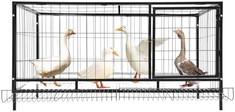 Jaula para pollo, 120 x 58 x 62 cm, con recolección automática de...