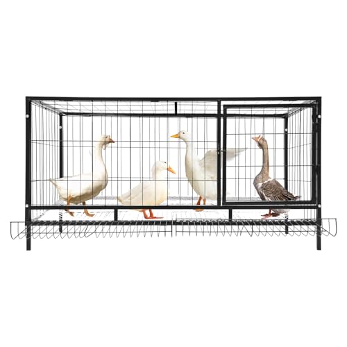 Gabbia per pollo, 120 x 58 x 62 cm, con