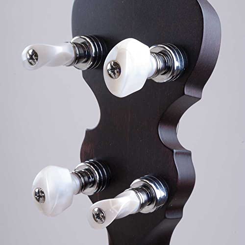 Deering As Artisan Goodtime Special Banjo With Resonator #TOP4