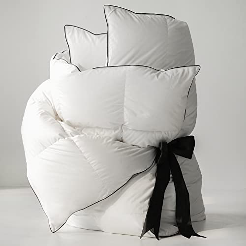 DOWNFORT Goose Down Comforter for Winter - Double Layer Down Comforter Queen Size Duvet Insert,4 Corner Loops, 71 Oz Filling,Temperature Lock and Breathable