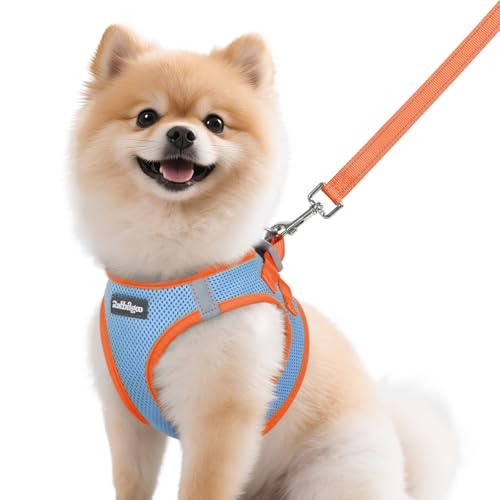 Rabbitgoo Step-In Harness & Leash Set (Light Blue & Orange, M)
