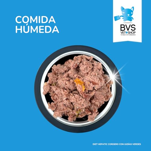 BVS Vet Shop | Diet Hepatic Lamm mit grünen Bohnen | Dose für Hunde | Diätfutter zur Unterstützung der Leberfunktion bei chronischem Leberversagen | 6 Stück x 400 g