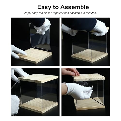 Vitrine en acrylique transparent de qualité supérieure pour objets précieux - 7