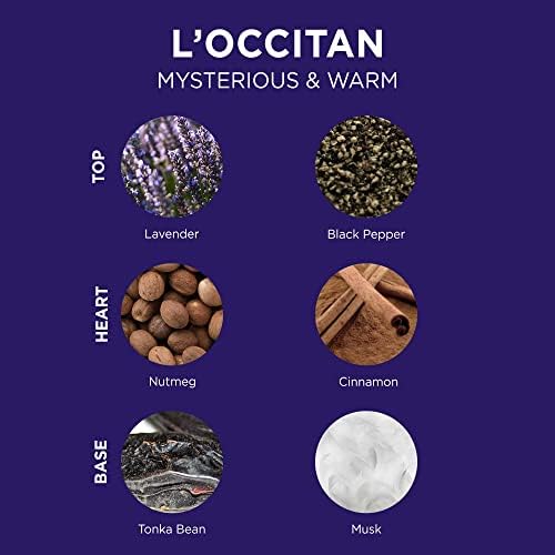 L'OCCITANE L'Occitane Shower Gel 250 ml| Luxury Body Wash for Men| 2-in-1 Hair & Body| Aromatic Lavender Scent|