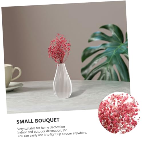 Mini ramo de flores secas Baby's Breath 12cm x6 miniatura 3