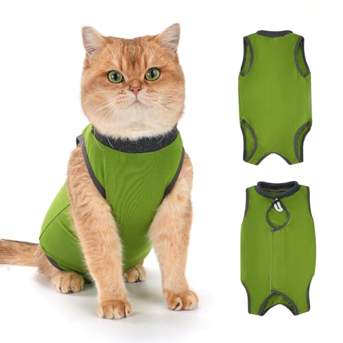 Avont Cat Recovery Suit for Surgery, Breathable Anti-Licking Onesie for Kittens, Surgical Post-Operative Protective Bodysuit, Comfortable Alternative to E-Collar -Green (S)