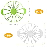 Dreamsolearoy B0FS1LBJ2S lato 2