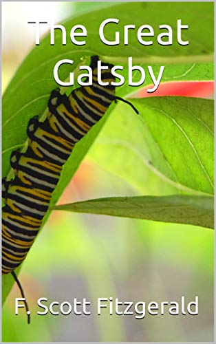 The Great Gatsby (English Edition)