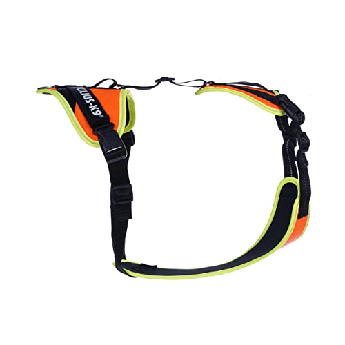JULIUSK-9, 19MTR-FOR-L-XL-AMZ, Mantrailing & Outdoor Hundegeschirr, Größe: L-XL, UV orange mit neon Rand