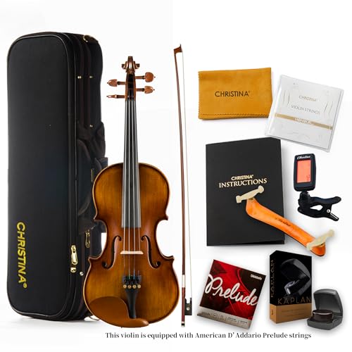Professional Violin Beginner Full Size