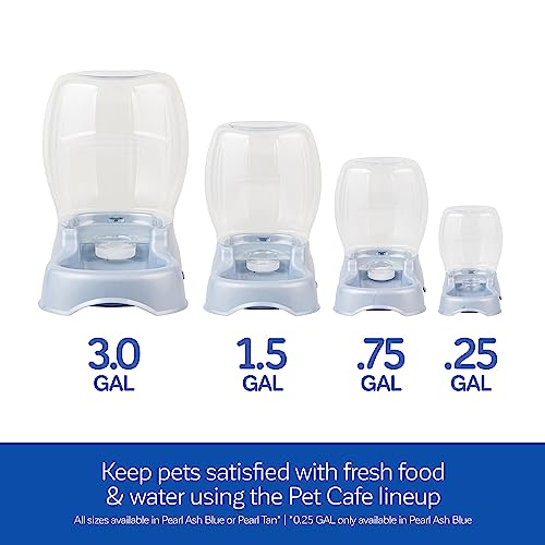 Petmate Pet Cafe Cat and Dog Water Dispenser Extra Small Water Bowl for Kittens and Puppies, USA Made, 0.25 GAL, 7.3"H, Pearl Ash Blue - Image 8