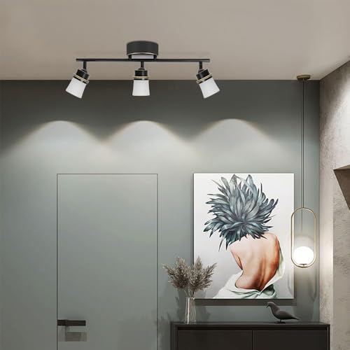 Image of 3 Light Dimmable LED Track Lighting Kit, Matte Bronze Flush Mount Ceiling Light Fixture with Etched Glass Shades, Adjustable Wall Lamp with Integrated LED Bulbs