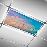Blue Sky with Cloud Scenery Fluorescent Light Covers -2 x 4ft Skylight Film Filter Home Library Hotel Shop Decoration