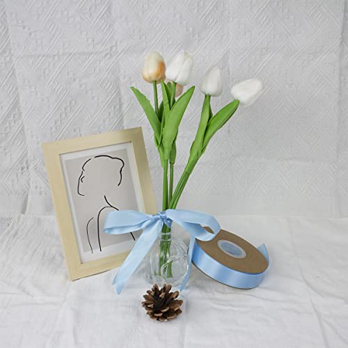 Nichemigo 1 Inch X 50 Yards Solid Satin Ribbon Single Face Fabric Ribbons For Gift Wrapping Crafting Bows Bouquet Wedding Invitation Floral Arrangement Baby Shower, Light Blue #TOP2