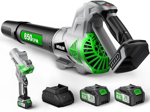Leaf Blower Cordless with Up to 850 CFM & 250 MPH, Brushless Electric Leaf Blowers with 2 x 6.0Ah Batteries and Fast Charger, 3-Speed Powerful Handheld Blower for Lawn Care, Patio, Yard Cleanup