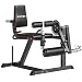 SPORTNOW Seated Leg Extension and Curl Machine Adjustable Plate Loaded