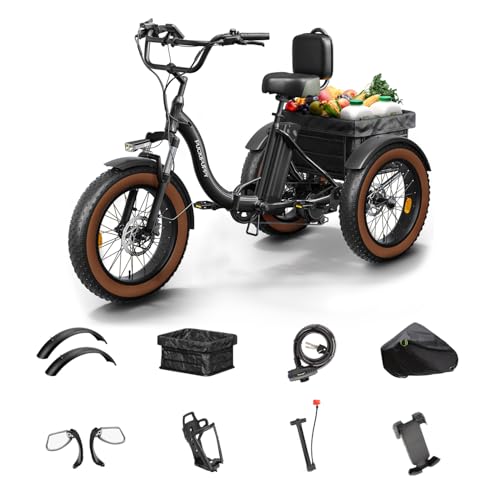 PUCKIPUPPY Electric Tricycle for Adults, 960W, 48V13.5Ah