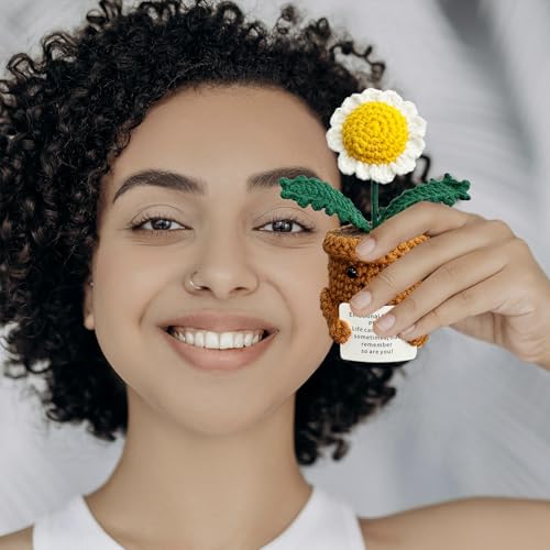 Madeliefjes Cadeaus voor Vrouwen en Mannen, Emotionele Steunplant Kerst Positieve Bloem Afscheid Beterschap Denk aan Je Dankjewel Geschenken voor Haar Moeder Juf Meisjes Vrienden Collega's - Afbeelding 4