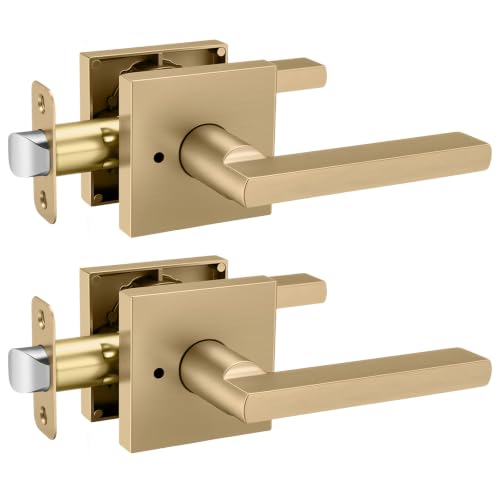 Goldenwarm Champagne Bronze Door Handles Interior Privacy, Vintage 2 Pack