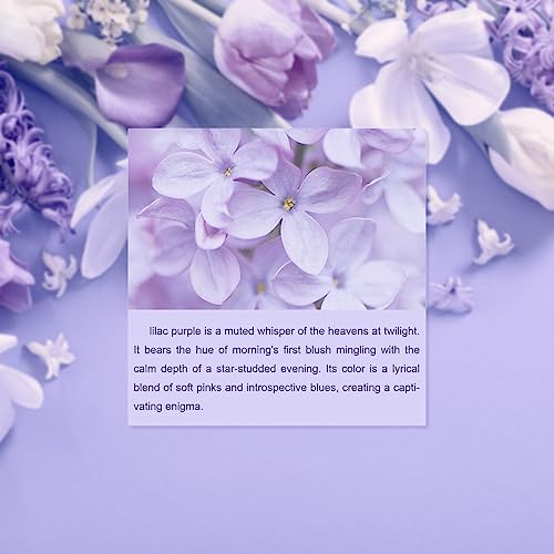 Metronic Large Poly Mailers 24X24 100 Pcs thumb #8