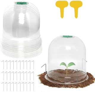 LATERN cloches de jardin PVC, lot de 10, 26 x 20 cm