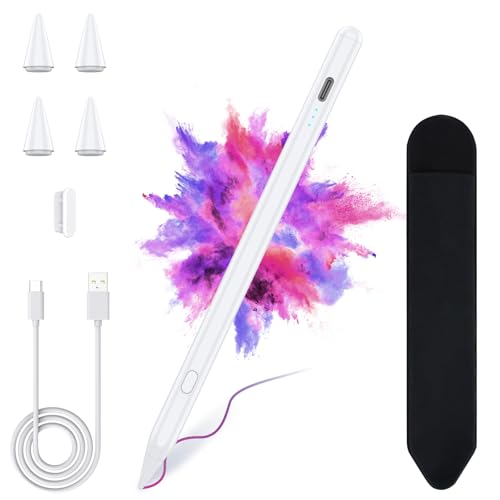 BQSS �X�^�C���X�y�� iPad 10th/9th�p �����[�d �X�^�C���X�y���V�� iPad 2018~2023�p iPad Pencil�p �p�[�����W�F�N�V�����t�� iPad 8th/7th iPad �z���C�g
