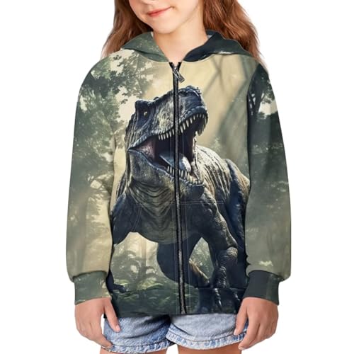 HUIACONG Dinosaur Zip Up Hoodie Boys 8-10 Hoodies Long Sleeve Shirt for Kids Sweatshirts Casual Hooded Pullover Outwear Pullover Novelty Sweatshirt4
