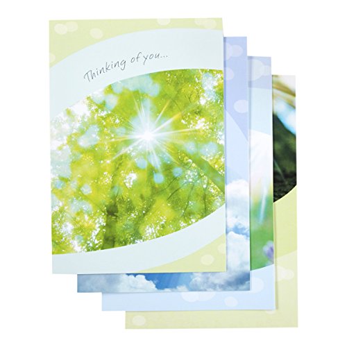 DaySpring Thinking of You Greeting Card with Embossed White Envelopes, 12 Count, Sunny Sentiments