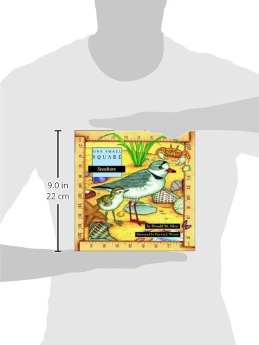 Seashore (One Small Square) - Image 2