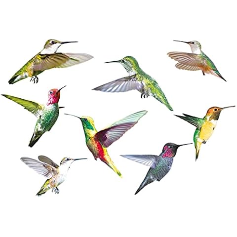 Hummingbird Window Clings,9PCS Birds Wall Decal,Hummingbird Window Cling Anti-Collision Window Clings Decals,Flying Bird Sticker Hummingbird Stickers For Window&Living Room Office Wall Art Decor Cover