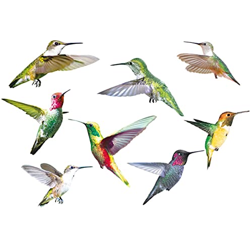 Hummingbird Window Clings,9PCS Birds Wall Decal,Hummingbird Window Cling Anti-Collision Window Clings Decals,Flying Bird Sticker Hummingbird Stickers For Window&Living Room Office Wall Art Decor