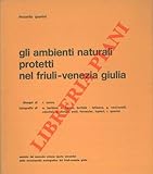 Udine, Istituto