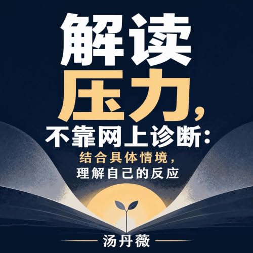『解读压力，不靠网上诊断：结合具体情境，理解自己的反应』のカバーアート