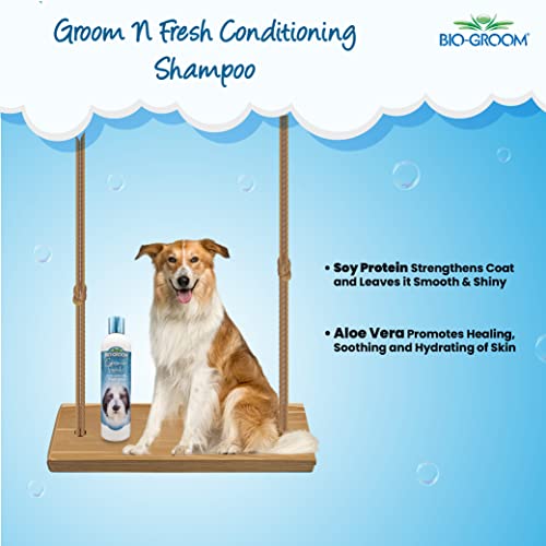 Image of Biogroom Groom N Fresh Odour Eliminating Conditioning Sulfate-Free Dog Grooming Shampoo Unique Fragrance of Finest Perfume Oils for Healing, Soothing and Hydrating Dog Coat, 355ml | Sulfate-free deodorizing shampoo for a fresh, clean, and healthy coat.
