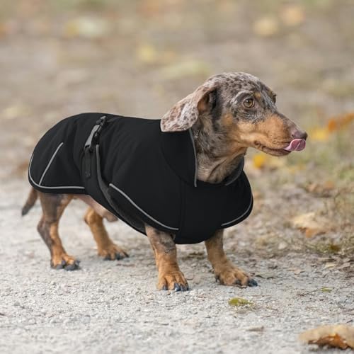 Hjyokuso Hundemantel Dackel, Winddichter Wasserdichter Wintermantel Für Dackel Hunde, Hundejacke Für Kleine Hunde XS, Hundemantel Winter Mit Bauchschutz Und Leinenloch, Winterjacken Für Hunde-Schwarz