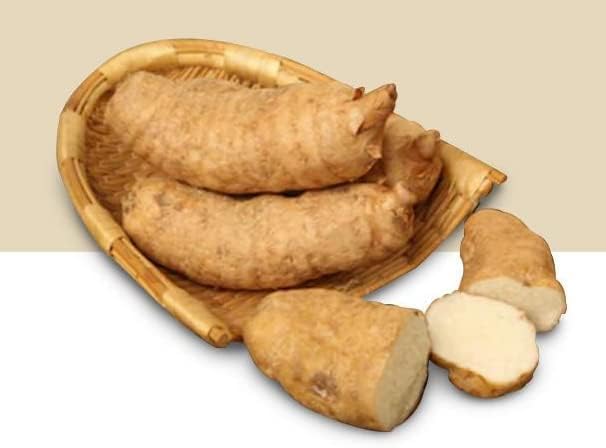 Organic Natural Pure Gastrodia Elata Extract Powder Herbs -7.05oz (200g) - Image 2