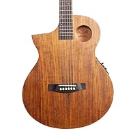 Unique LEFT-HANDED electro-acoustic guitar designed in Bristol, U.K, by Lindo Guitars - the Lindo Neptune SE V2 (Special Edition Version 2) includes the F-4T preamplifier with LED illumination and piezoelectric pickup, as well as a dual XLR and jack ...