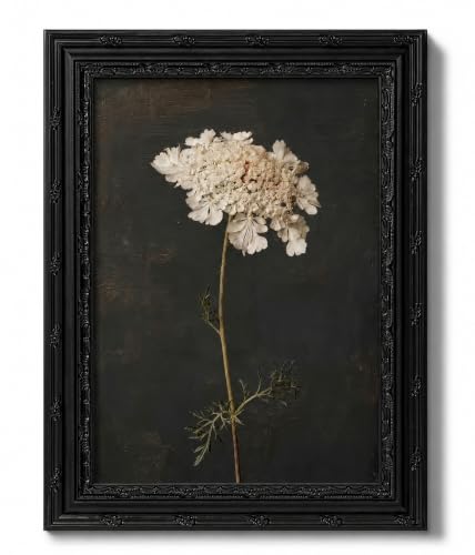 Dezrobew Dark Academia Black Framed Botanical Wall Art Gothic White Flower Painting Moody Vintage Floral Picture Aesthetic Nature Decor for Bedroom Living Room Bathroom Office 9''X11''