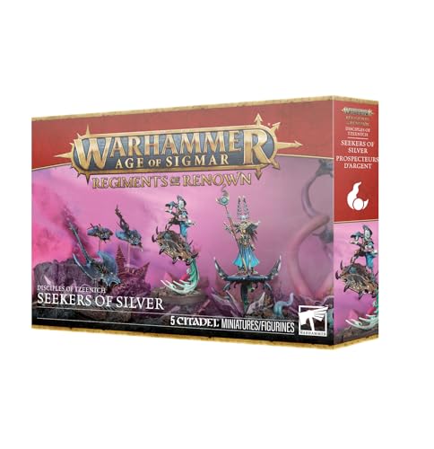 Warhammer Age of Sigmar: Seekers of Silver 5 miniaturas miniatura 1