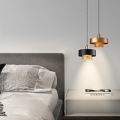 Jengush Modern Style Battery Operated Pendant Light Over Kitchen Island,6 Rgb Colors Dimmable Hanging Lighting With Remote Control,Wireless Pendant Lights Fixtures,(With Bulb+Remote Control+Charging Cable) ( thumb #4