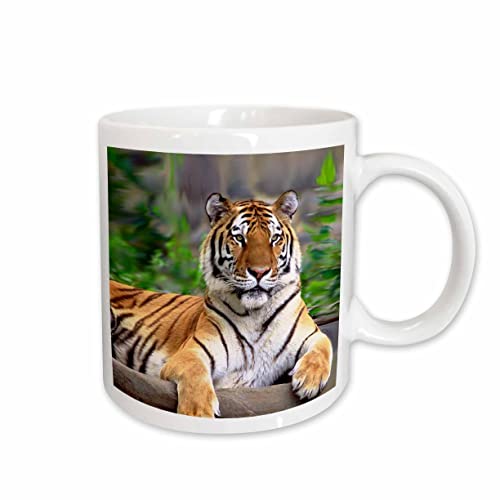 3dRose Siberian Tiger 11oz Mug