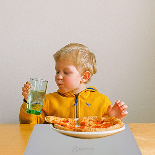 Silicone Placemats For Kids Baby Toddler, Non-Slip Portable Placemats For Dining Table, Heat Resistant, Washable, 2 Pack Baby Food Eating Placemats (Peach, Grey) #TOP6