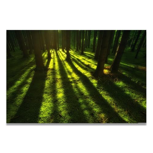 Lienzo La Sombra Del Bosque con paisaje de montañas para inspirar paz en tu hogar
