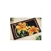 Zestawy haków zatrzaskowych tworzyć własne kwiaty lilii dywanów Mata do poduszki z szydełkową DIY Dywan Dywan Set Pre-Drukowane Płótno Hobby & Crafts (Size : 85x60cm)