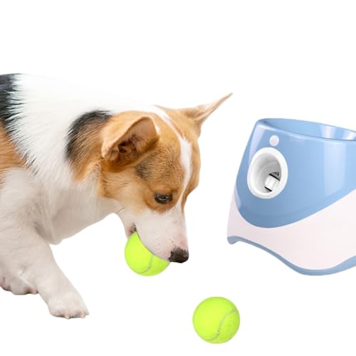 VGVG  {[`[   {[   {[Aǌ^ETPU{[   ˋ3iK\ p̃~jejX{[3t OpQ[ ^ ^p mߋ (XJCu[,9̃{[)