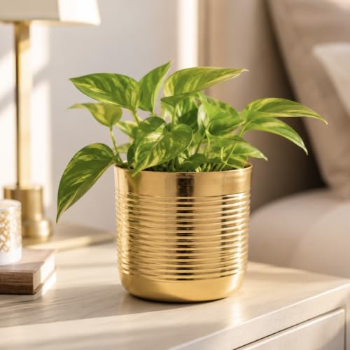 Image of Gold Ribbed Metal Planter Pot for Indoor Living Room Tabletop Decorative Flower Planter Pot for Home Decoration and Gifting (5 inch Height)