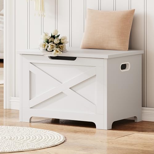GAOMON Storage Chest, Wooden Toy Storage Bench, Modern Style Lift-Top Toy Chest with Safety Hinge for Entryway, Bedroom, Living Room, Supports 300 Lb and Easy Assembly