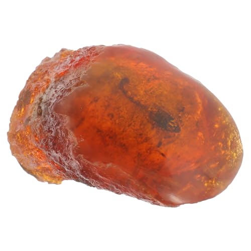 JECOMPRIS Amber Sample Insect Specimen Amber Stone Specimen Insect Stone Decor Insect Decor Home Decor Insect Sample Insect Stone Specimen Insect Amber Specimen Amber Adornment Resin