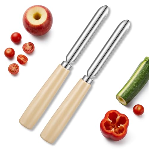 RAHHLIZS 2Pcs Pineapple Corer and Slicer Pineapple Zucchini Corer Tool